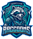Raccoons